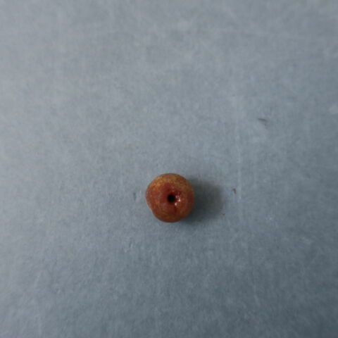 perle, image 1/1