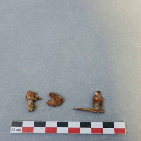 objet indéterminé, fragment, image 1/1