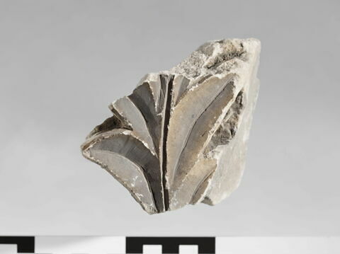 bloc de frise, image 1/1