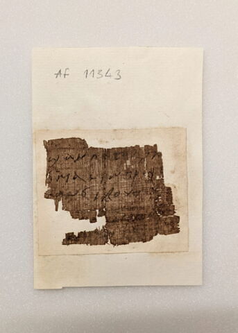papyrus, image 1/1