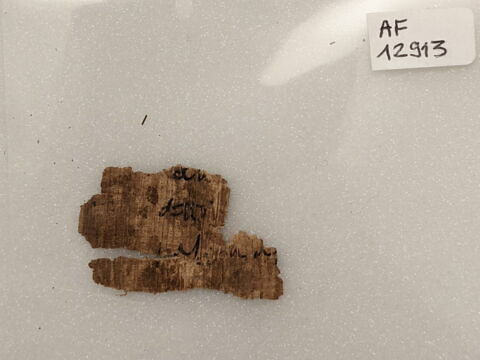 papyrus, image 1/1
