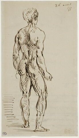 Homme nu vu de dos, image 1/1