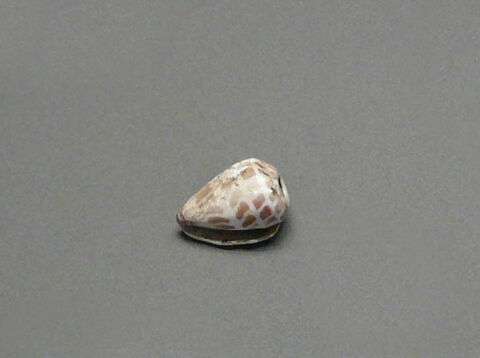 , image 4/4