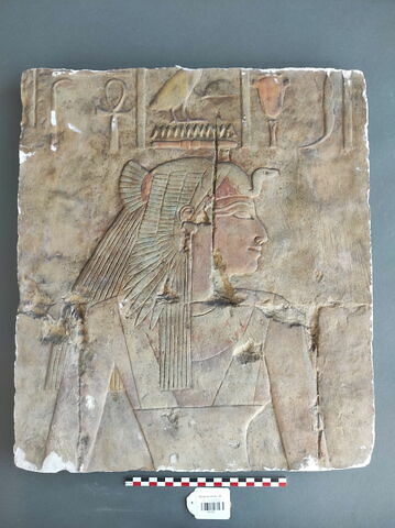 moulage ; relief ; moulage d'un relief du temple de Deir el-Bahari représentant Ahmès