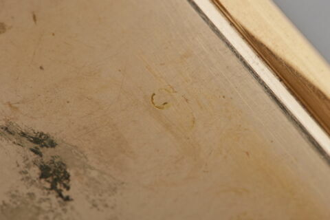 Tabatière à décor de feuilles d’acanthe, image 8/15