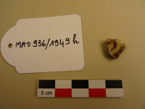 Fragment de coupe, image 1/1