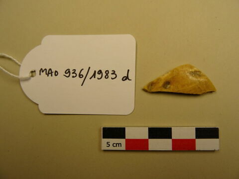 Coupe fragmentaire, image 1/1