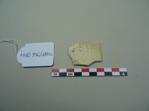 Fragment de coupe, image 1/1