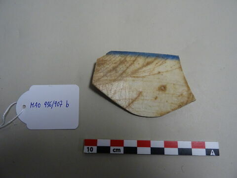 Fragment de grande coupe carénée tronconique, image 1/1