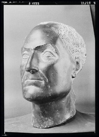 Moulage de la tête de la statue de Penmerit Louvre E 15683, image 6/7