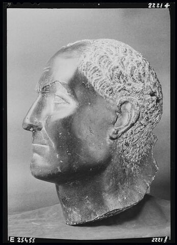 Moulage de la tête de la statue de Penmerit Louvre E 15683, image 7/7