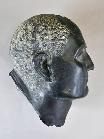 Moulage de la tête de la statue de Penmerit Louvre E 15683, image 3/7