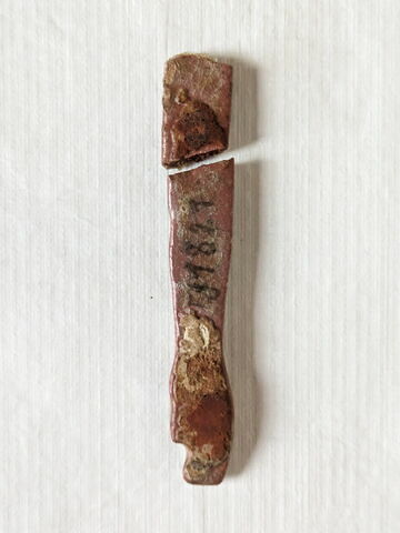 incrustation, image 2/2
