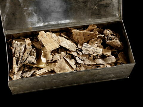 papyrus, image 3/3