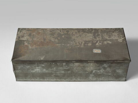 papyrus, image 2/3