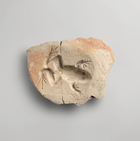 moule, fragment, image 1/2