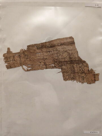 papyrus, image 1/1
