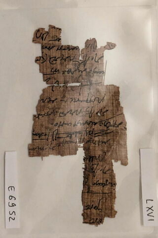 papyrus, image 1/1