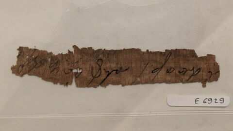 papyrus, image 1/1