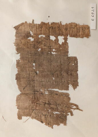 papyrus, image 1/1