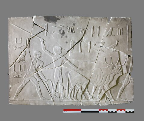 Moulage d'une scène du mastaba de Ti