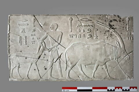 Moulage d'une scène du mastaba de Ti, image 1/1