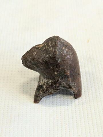 pseudo-momie, image 3/3