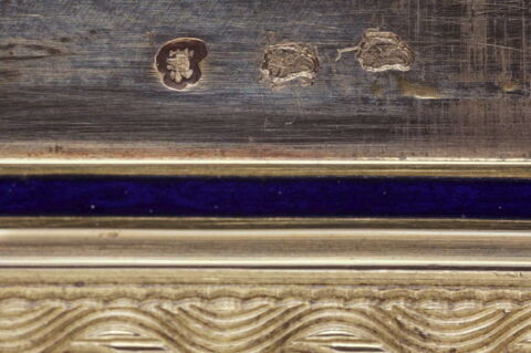 Boîte en or avec le portrait du duc de Blacas d’Aulps, image 2/6
