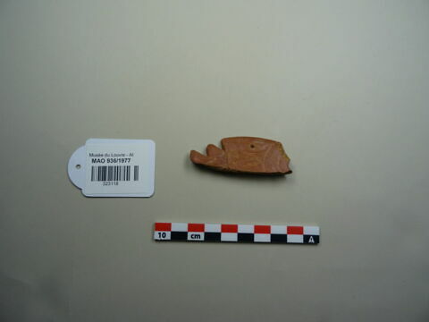 fragment de coupelle, image 1/1