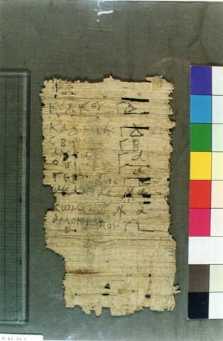 papyrus, image 2/2