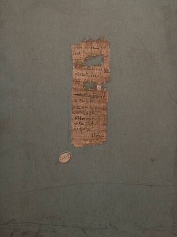 papyrus, image 1/1