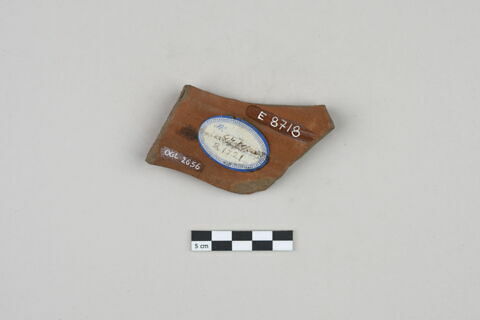 ostracon, image 2/3