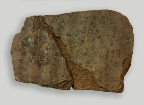 ostracon, image 4/4