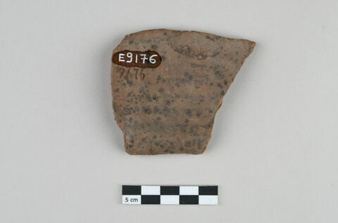 ostracon, image 1/4