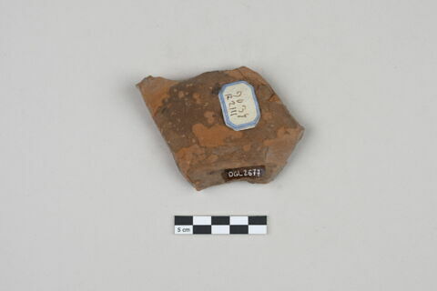 ostracon, image 2/2