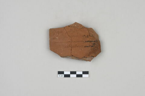 ostracon, image 1/2