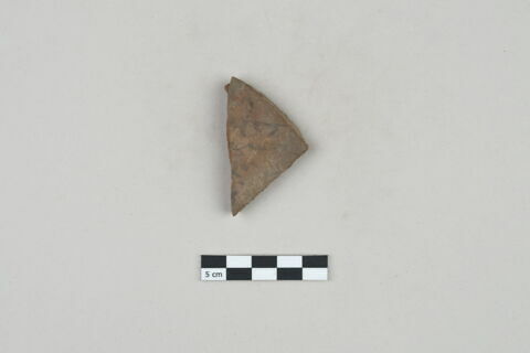 ostracon, image 1/2