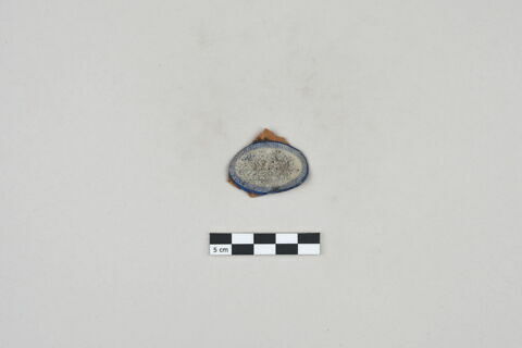 ostracon, image 1/2