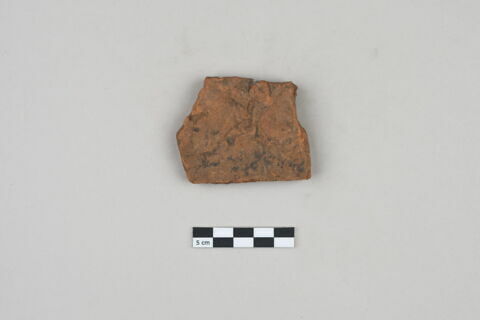 ostracon, image 1/2