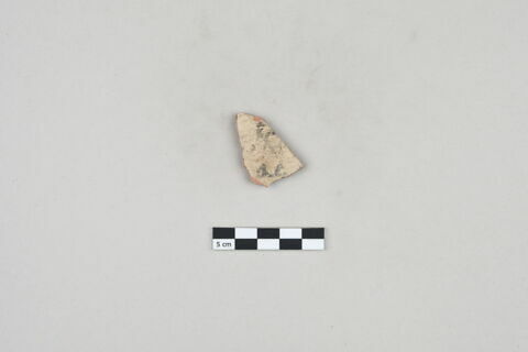 ostracon, image 1/2