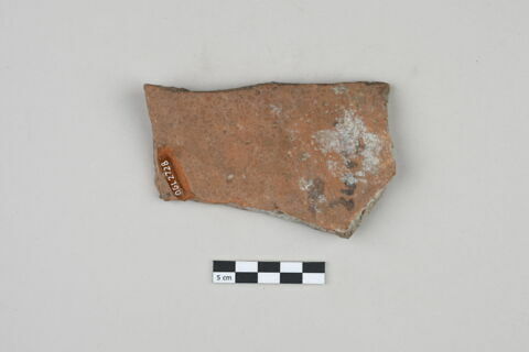 ostracon, image 2/2