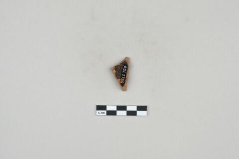 ostracon, image 2/2