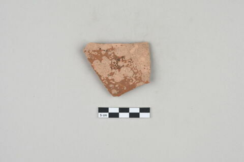 ostracon, image 1/2