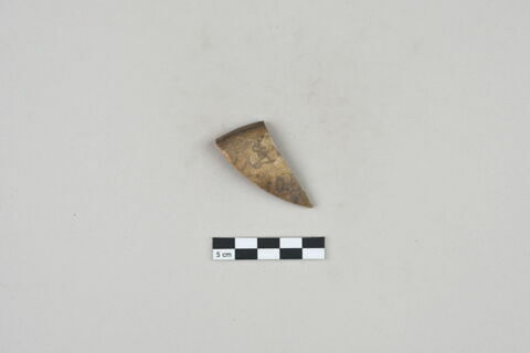 ostracon, image 2/2