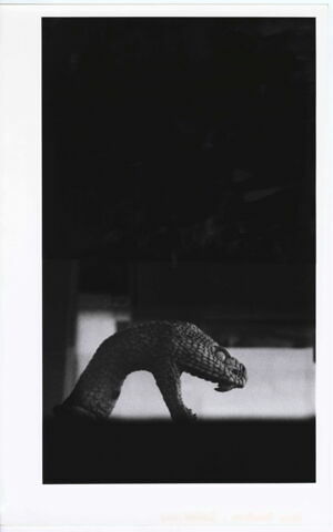 photographie