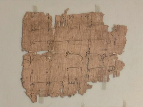 papyrus, image 1/6