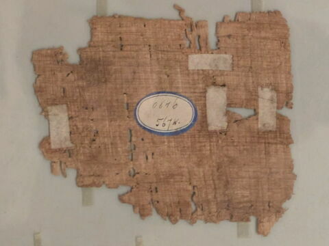 papyrus, image 2/6