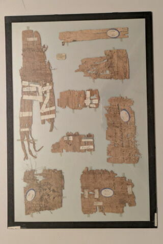 papyrus, image 4/6