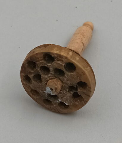 brosse, fragment ; tabletterie, image 3/3