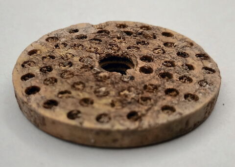 brosse, fragment, image 4/4